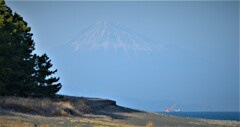 三保松原 富士山世界文化遺産 静岡県