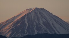 富士山 フルーツ公園 山梨市 山梨県 DSC08278