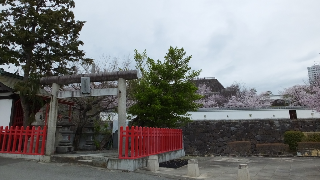 舞鶴城 櫻 甲府市 山梨県