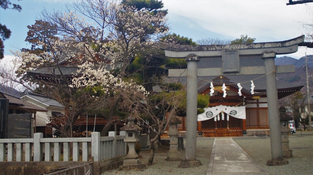 玉諸神社 国玉町 甲府市 DSC00854