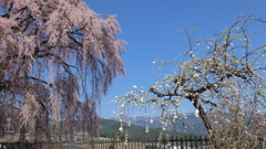 第六天魔王 牧丘町 秩父多摩甲斐国立公園 山梨市 山梨県