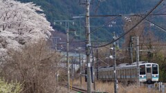 花 JR中央線 勝沼ぶどう郷駅 甲州市 山梨県 DSC02211