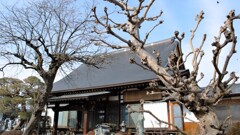仏徳山 涌泉寺 塩山赤尾 甲州市 山梨県 DSC_0015