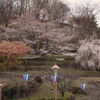 塩山ふれあいの森総合公園 甲州市 山梨県 DSC06932