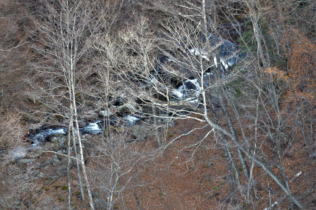 久渡の沢 雁坂トンネル 秩父多摩甲斐国立公園 山梨市 山梨県 DSC_8568