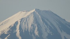 富士山 笛吹川フルーツ公園 山梨市 山梨県 DSC07027