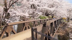 花 勝沼ぶどう郷駅 甲州市 山梨県 DSC02283