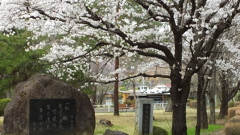 万力公園（万葉の森） 山梨市 山梨県