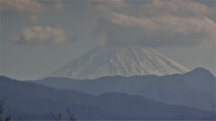 富士山 塩山ふれあいの森総合公園 甲州市塩山小屋敷 山梨県  DSC00212