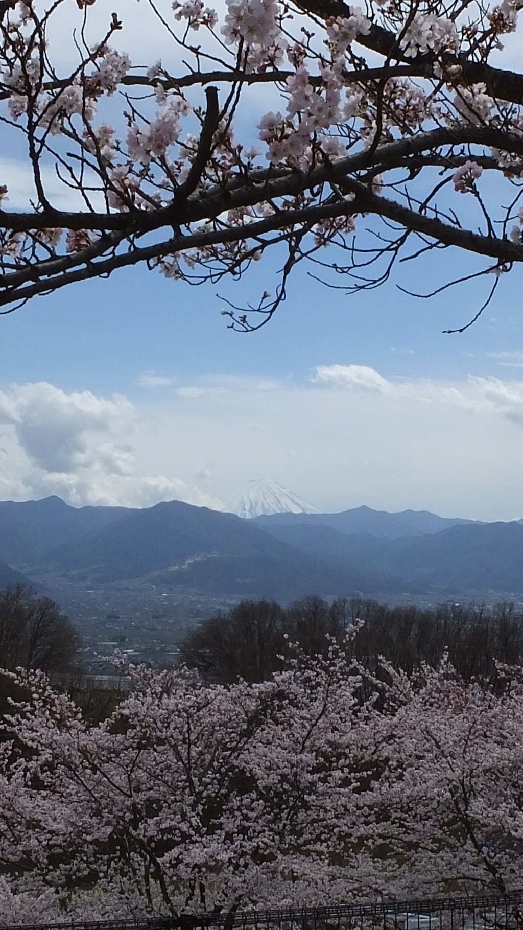 山梨県笛吹川フルーツ公園 山梨市 山梨県