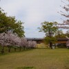 桜 甲斐市 山梨県 DSC02735