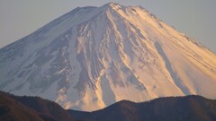 富士山 フルーツ公園 山梨市 山梨県 DSC08791
