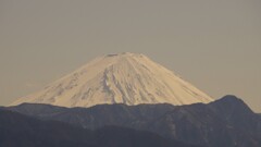 富士山 塩山ふれあいの森総合公園 甲州市 山梨県 DSC04997