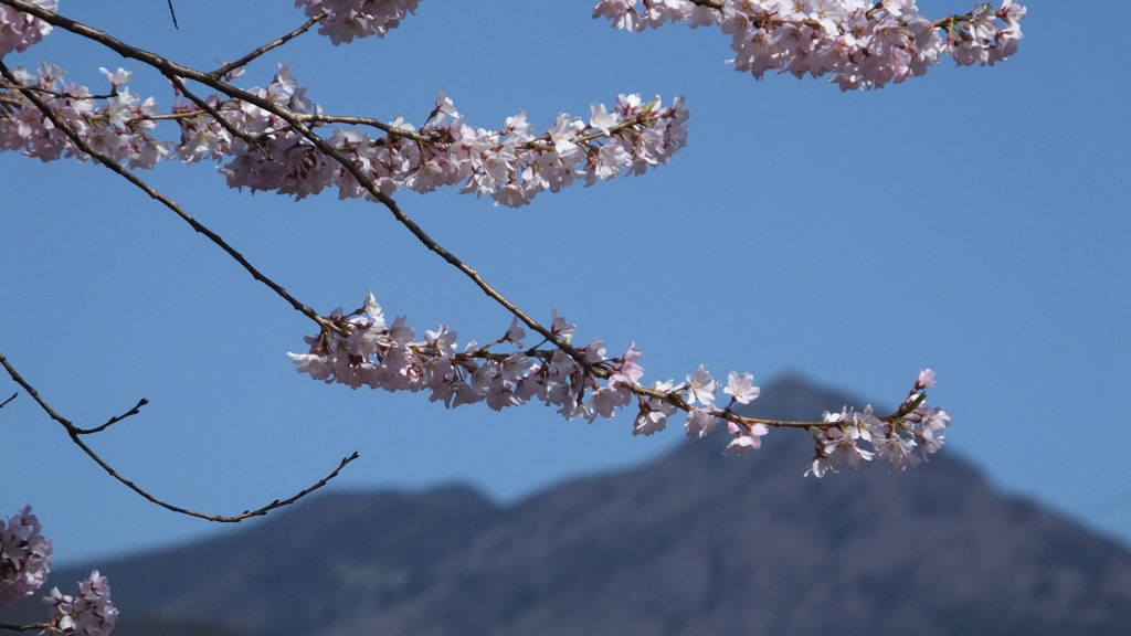 乾徳山 塩山藤木 甲州市 山梨県