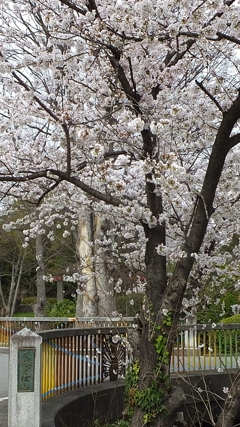 万力公園（万葉の森） 山梨市 山梨県