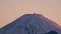 富士山 藤木 甲州市 山梨県 DSC08468
