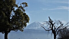ドラゴンパーク 赤坂台総合公園 甲斐市 山梨県 DSCF3244