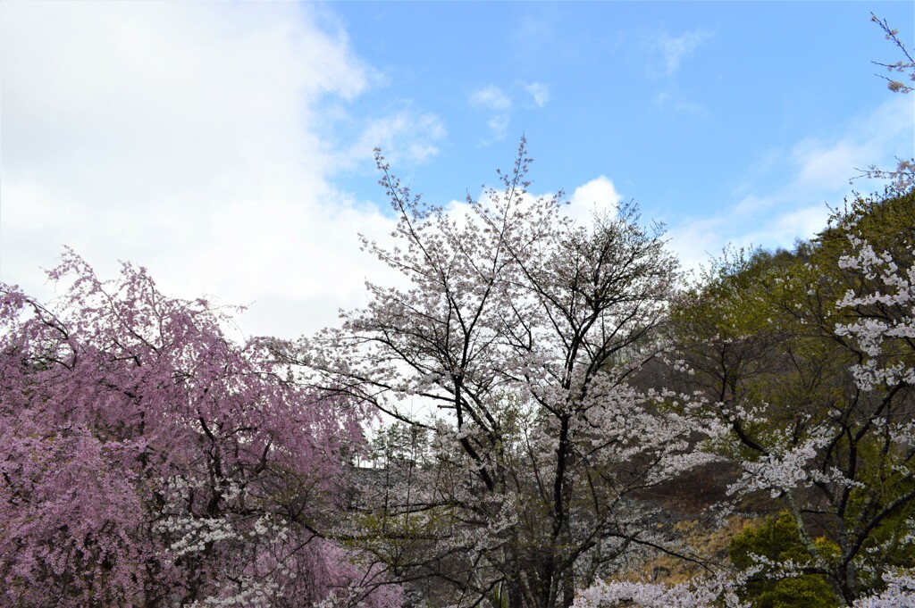 広瀬ダム 秩父多摩甲斐国立公園 山梨市 山梨県