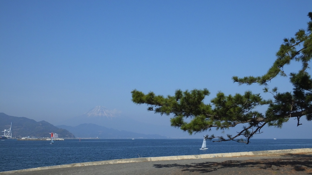 三保 富士山世界文化遺産 静岡県　