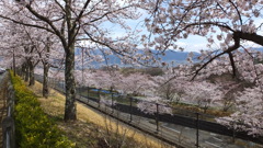 山梨県笛吹川フルーツ公園 山梨市 山梨県