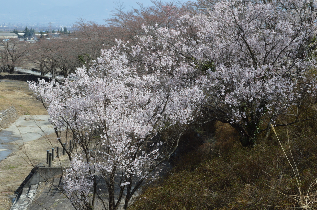 日本の風景 桃花橋ループ 芦安入口 南アルプス市