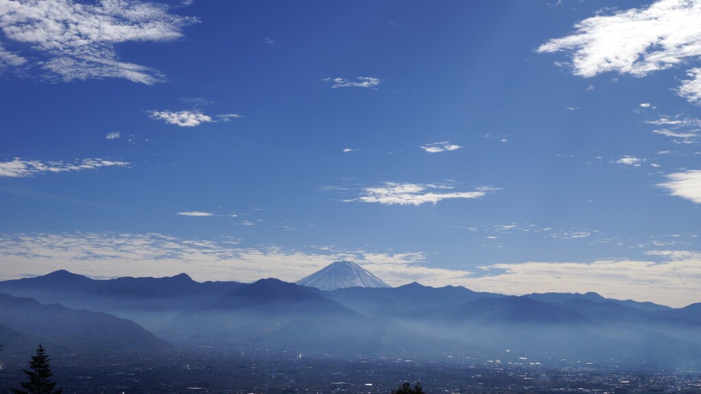 富士山 笛吹川フルーツ公園 山梨市 山梨県 DSC02957