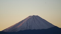 富士山 笛吹川フルーツ公園 山梨市 山梨県 DSC04750