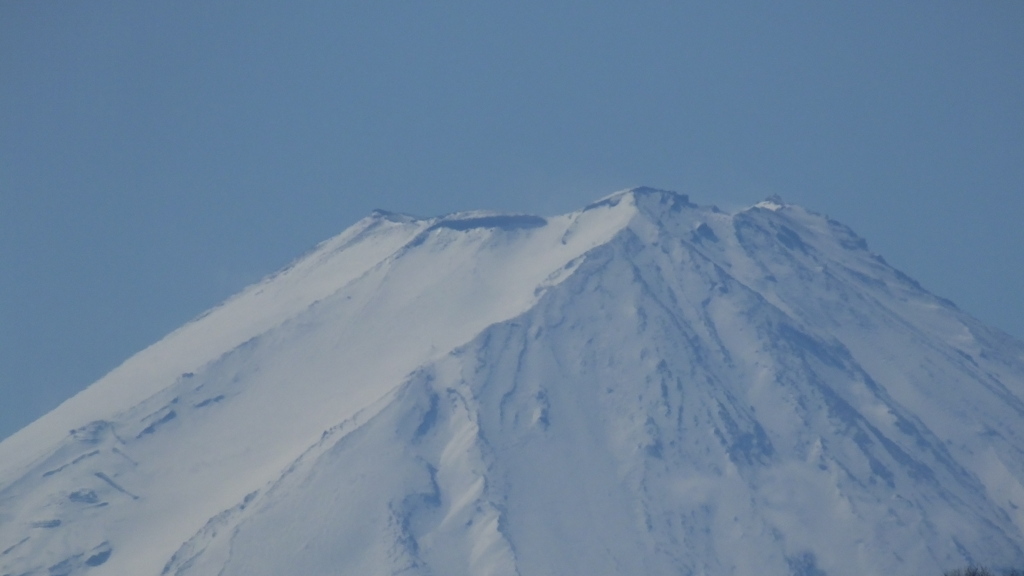 日本の風景 秩父多摩甲斐国立公園 富士 山 花 山梨県