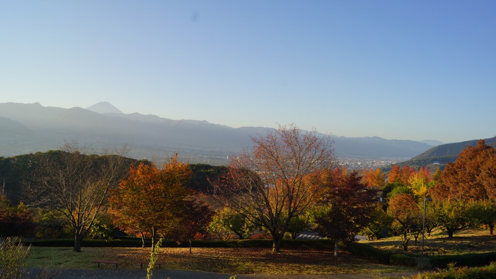 富士山 紅葉 笛吹川フルーツ公園 山梨市 DSC02652