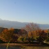 富士山 紅葉 笛吹川フルーツ公園 山梨市 DSC02652