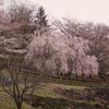 塩山ふれあいの森総合公園 甲州市 山梨県 DSC06937