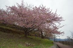 塩山ふれあいの森総合公園 甲州市 山梨県