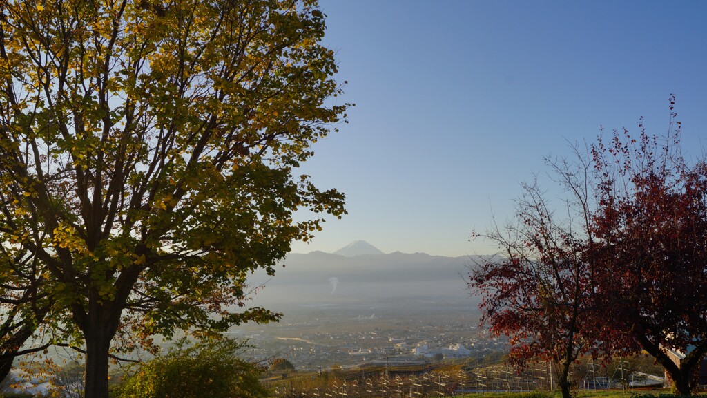 富士山 笛吹川フルーツ公園 山梨市 山梨県 DSC02790