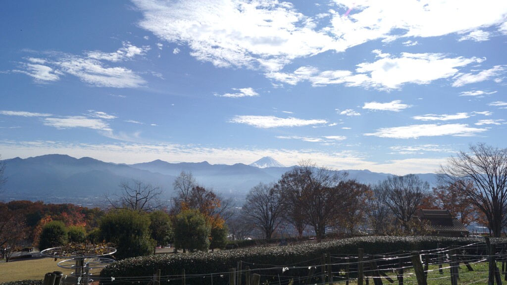 富士山 笛吹川フルーツ公園 山梨市 山梨県 DSC02944