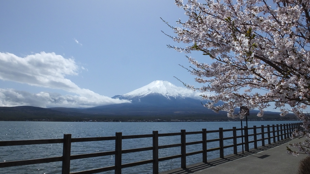 長池親水公園 山中湖 富士山 富士五湖 山梨県