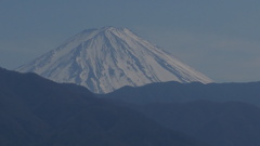富士山 フルーツ公園 山梨市 山梨県 DSC01639