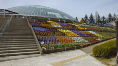 山梨県笛吹川フルーツ公園 山梨市 山梨県