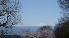 オーチャードヴィレッジ・フフ 秩父多摩甲斐国立公園 山梨市 山梨県