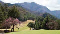塩山カントリークラブ 甲州市塩山中萩原 山梨県 DSC02479