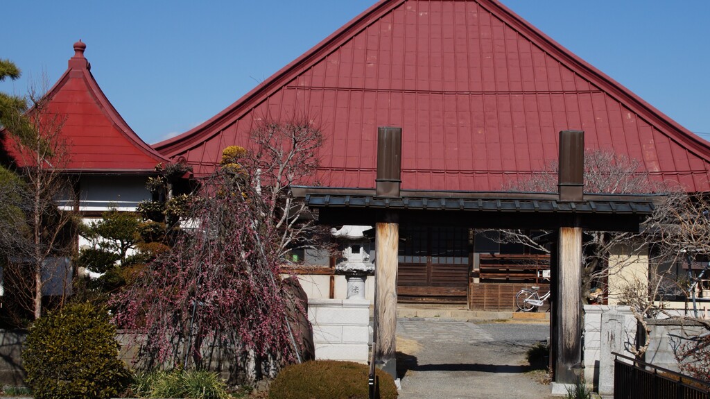 海潮院 笛吹市御坂町下黒駒 山梨県 DSC01201