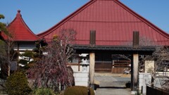海潮院 笛吹市御坂町下黒駒 山梨県 DSC01201