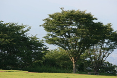 笛吹市　八代ふるさと公園　山梨県　