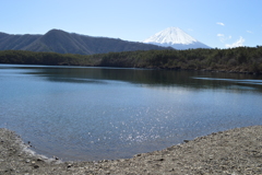 西湖 富士河口湖町 富士五湖 山梨県