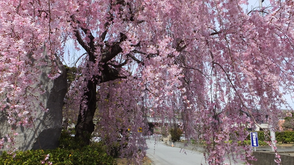厚生病院 山梨市落合 山梨県