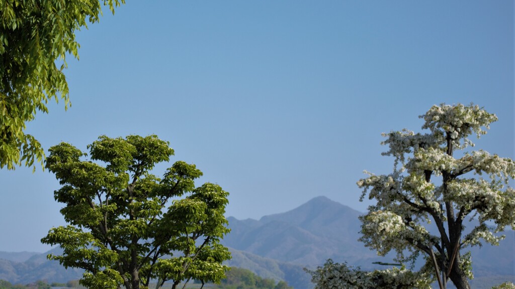 日本の風景 山梨市駅 山梨県 DSC_0046
