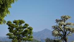 日本の風景 山梨市駅 山梨県 DSC_0046
