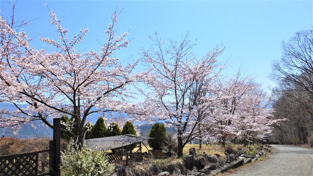 オーチャードヴィレッジ・フフ 秩父多摩甲斐国立公園 山梨市 山梨県