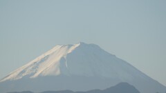 富士山 フルーツライン 藤木 甲州市 山梨県 DSC00788
