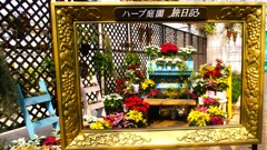 ハーブ庭園 夢日記 勝沼庭園 甲州市 山梨県 DSC06113