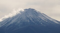 富士山 河口湖 大石公園 山梨県 DSC06299